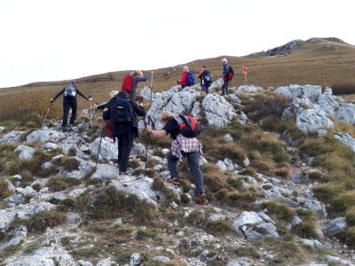 Kliknite za ogled večje slike