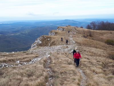 Kliknite za ogled večje slike