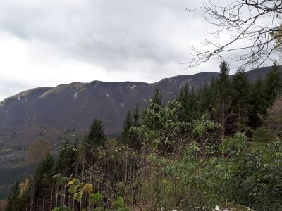 Kliknite za ogled večje slike