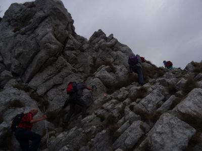 Kliknite za ogled večje slike