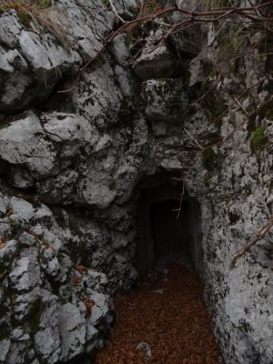 Kliknite za ogled večje slike