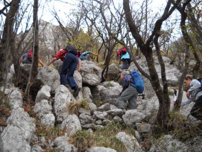 Kliknite za ogled večje slike