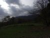 DSC08386.JPG