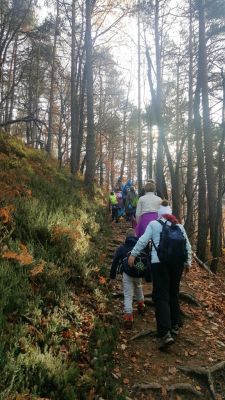 Kliknite za ogled večje slike