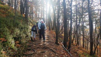 Kliknite za ogled večje slike