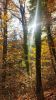 20171111_095309.jpg