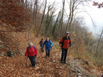Kliknite za ogled večje slike