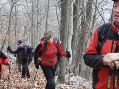 Kliknite za ogled večje slike