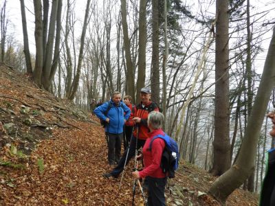Kliknite za ogled večje slike