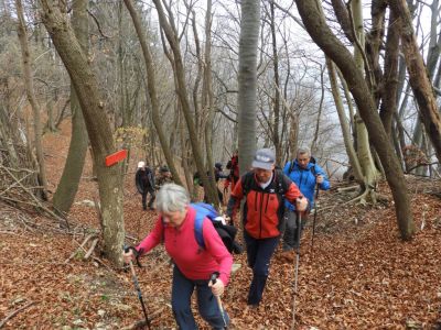 Kliknite za ogled večje slike