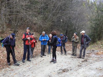 Kliknite za ogled večje slike
