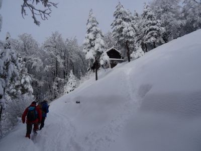 Kliknite za ogled večje slike