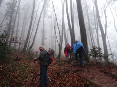 Kliknite za ogled večje slike