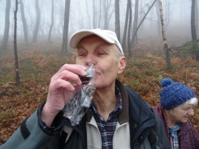 Kliknite za ogled večje slike