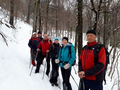 Kliknite za ogled večje slike