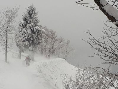 Kliknite za ogled večje slike