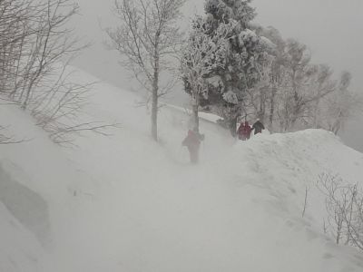 Kliknite za ogled večje slike