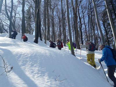 Kliknite za ogled večje slike