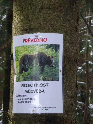 Kliknite za ogled večje slike