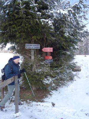 Kliknite za ogled večje slike