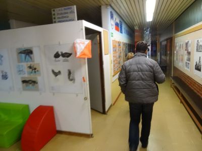 Kliknite za ogled večje slike