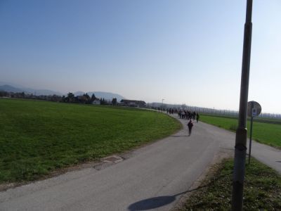 Kliknite za ogled večje slike