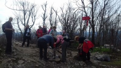 Kliknite za ogled večje slike