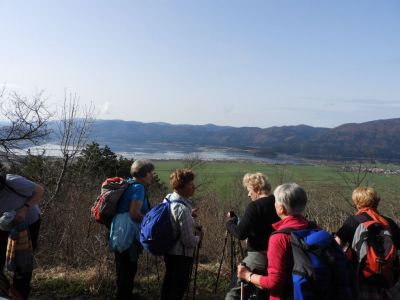 Kliknite za ogled večje slike