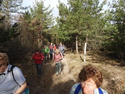 Kliknite za ogled večje slike