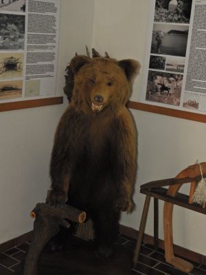 Kliknite za ogled večje slike