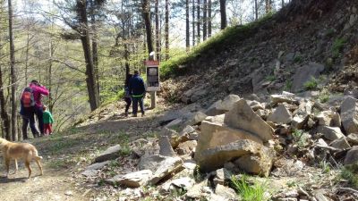 Kliknite za ogled večje slike