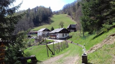 Kliknite za ogled večje slike