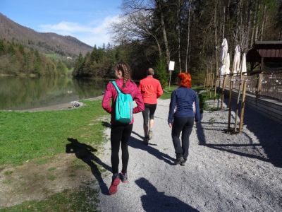 Kliknite za ogled večje slike