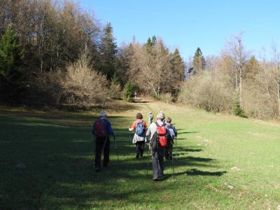Kliknite za ogled večje slike