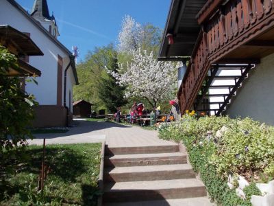 Kliknite za ogled večje slike