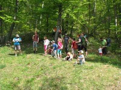 Kliknite za ogled večje slike
