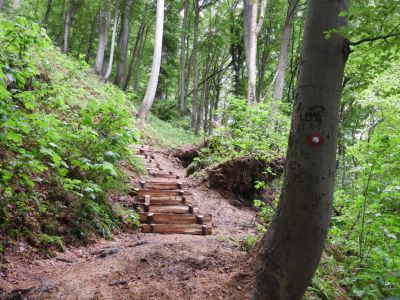 Kliknite za ogled večje slike