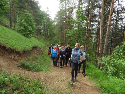 Kliknite za ogled večje slike