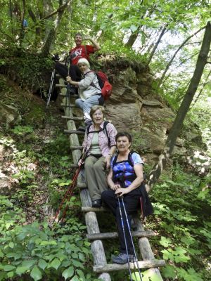 Kliknite za ogled večje slike