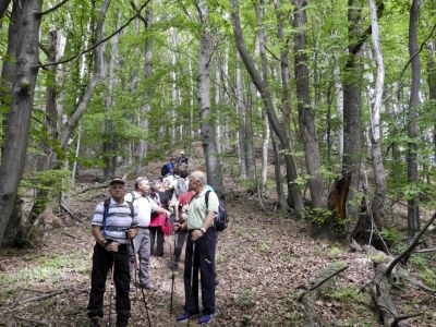 Kliknite za ogled večje slike