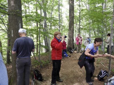 Kliknite za ogled večje slike