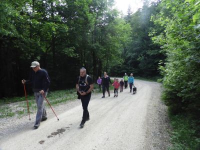 Kliknite za ogled večje slike