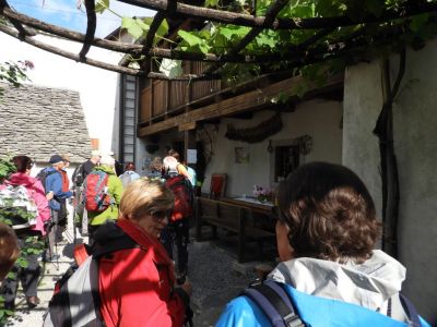 Kliknite za ogled večje slike