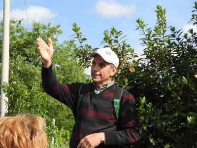 Kliknite za ogled večje slike