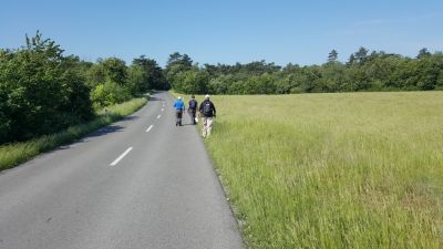 Kliknite za ogled večje slike