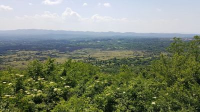 Kliknite za ogled večje slike