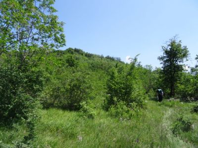Kliknite za ogled večje slike
