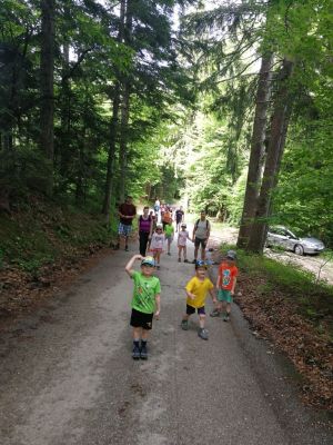 Kliknite za ogled večje slike