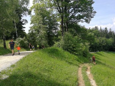 Kliknite za ogled večje slike