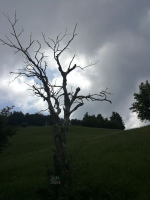 Kliknite za ogled večje slike